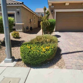Bush Trimming by Grizzly Lawn Care and Snow Removal reviewed on August 14, 2021