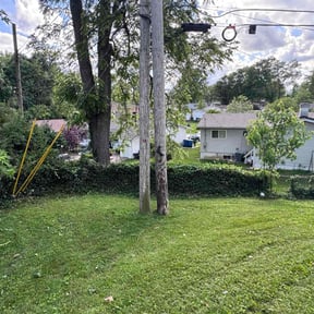 Weed Pulling by Team one lawn service reviewed on December 15, 2020