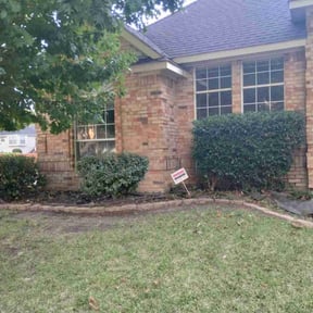 Bush Trimming by Mr. Mows It All reviewed on December 21, 2024