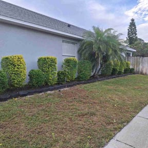 Bush Trimming by Verde Lawn and Property Management reviewed on June 18, 2022