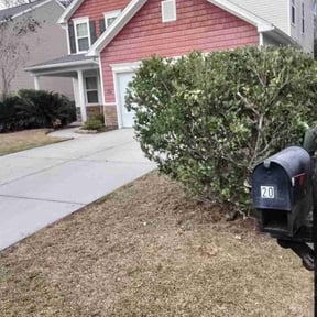 Bush Trimming by Sharp Property Preservation reviewed on May 17, 2021