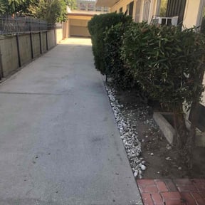 Bush Trimming by Forever Green FG LLC reviewed on December 30, 2024