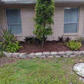 Weeding by LSLTDallas/FortWorthTruGreen reviewed on June 6, 2025