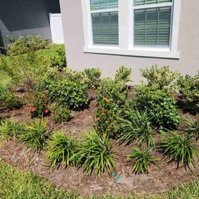 Flower Bed Weeding by JDAA Lawn Care Service reviewed on March 14, 2025