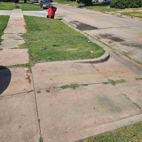Weeding by Beez Lawncare reviewed on August 3, 2022
