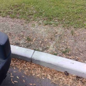 Leaf Removal by Texas Best Lawn and Farm reviewed on February 26, 2022