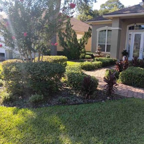Bush Trimming by Prime Lawn Service . reviewed on April 8, 2025