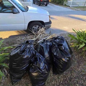 Leaf Removal by WhaleyScapes lawn services reviewed on October 23, 2020
