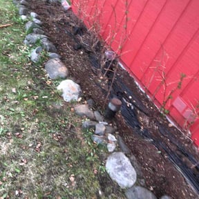 Flower Bed Weeding by Grass Experts reviewed on August 9, 2022