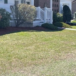 Leaf Removal by Get it done by jimmy reviewed on May 28, 2022