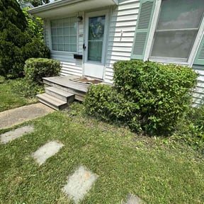 Bush Trimming by FRL Landscaping reviewed on October 9, 2024