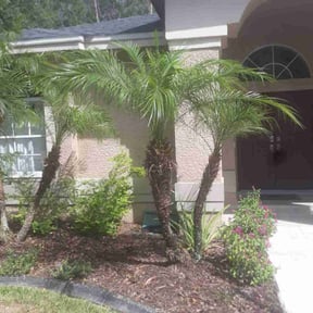 Cleanups by Three Palms landscaping service reviewed on March 11, 2022