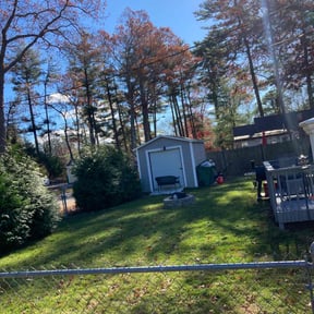 Leaf Removal by Jackson's Lawn care reviewed on June 6, 2021