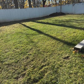 Leaf Removal by Just us landscaping LLC reviewed on August 27, 2021