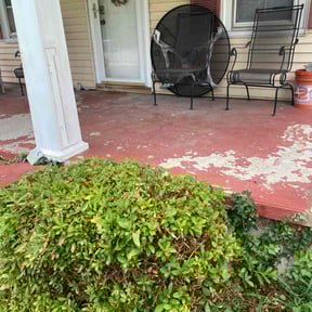 Bush Trimming by Norton's Lawn Care reviewed on June 7, 2022
