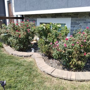Flower Bed Weeding by Fullview lawn service reviewed on July 15, 2025
