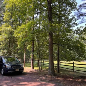 Cleanups by Sb Landscaping reviewed on June 1, 2022