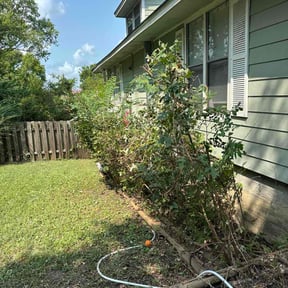 Cleanups by Bowie made business llc reviewed on June 27, 2025