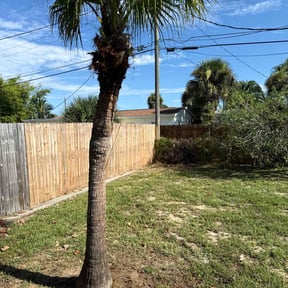 Bush Trimming by Advance Cutter Lawn Maintenance reviewed on August 7, 2025