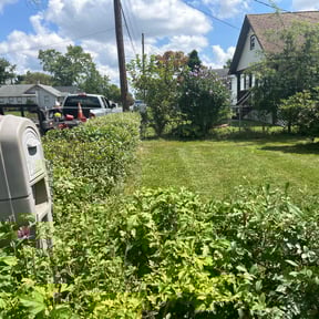 Bush Trimming by Shannon's Lawn Service reviewed on June 25, 2022