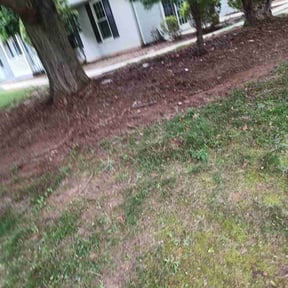 Leaf Removal by Cutting Edge Lawn Care and Tree Service reviewed on July 15, 2022