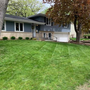 Cleanups by Sandrez lawn care service reviewed on March 10, 2025