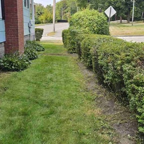 Bush Trimming by Maryhaven farm reviewed on July 1, 2022