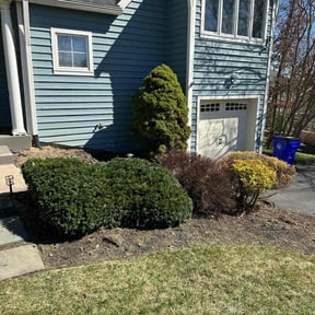 Bush Trimming by AC LAWN CARE SERVICES LLC reviewed on August 25, 2021