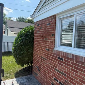 Bush Trimming by Creative property lawn &amp; landscaping reviewed on August 4, 2022