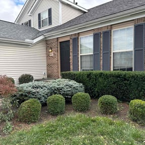 Bush Trimming by Ike’s Lawn & Yard Services reviewed on July 12, 2025