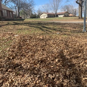 Cleanups by Q&R landscaping solutions reviewed on April 24, 2022