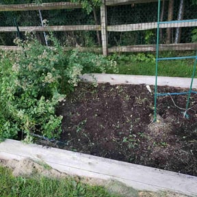 Flower Bed Weeding by BRDOC - Lawn Care reviewed on April 28, 2022