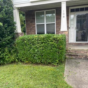 Bush Trimming by Our Vision Media LLC reviewed on August 8, 2025