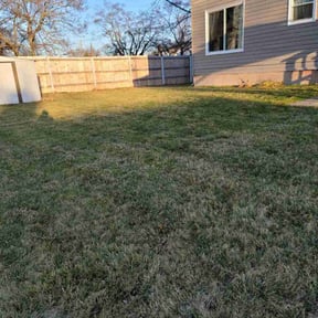 Leaf Removal by Slaughter Lawn Care reviewed on June 1, 2022