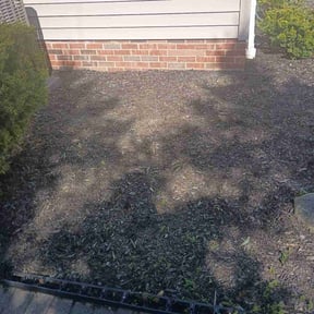Flower Bed Weeding by Tefel rivera reviewed on April 13, 2025
