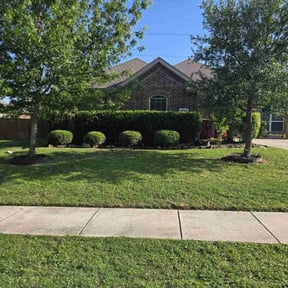 Bush Trimming by N&N lawn care and snow removal reviewed on July 25, 2022