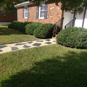 Bush Trimming by Rockville Landscaping reviewed on June 25, 2025