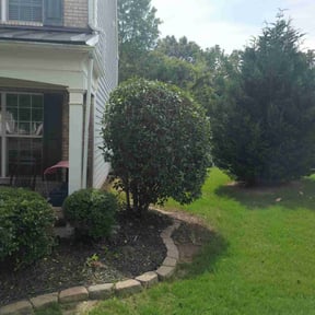 Bush Trimming by Heavenly View Landscape and Irrigation reviewed on July 25, 2022