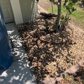 Flower Bed Weeding by On The Green reviewed on May 8, 2022