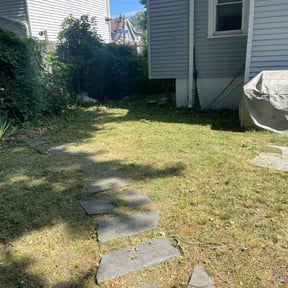 Bush Trimming by R&M lawncare reviewed on July 1, 2021