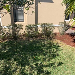 Bush Trimming by Done Right Handyman Services LLC. reviewed on June 25, 2025