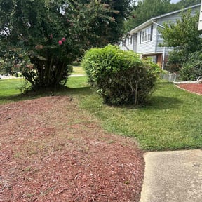 Bush Trimming by Gio Landscaping reviewed on October 26, 2022