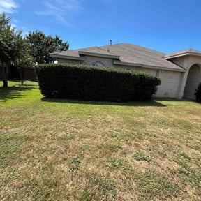 Bush Trimming by Legacy SRD construction reviewed on July 11, 2025