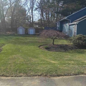 Leaf Removal by Coastal Lawnworx LLC reviewed on November 30, 2021