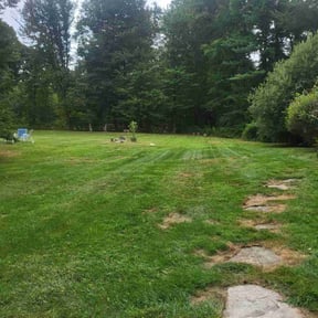 Flower Bed Weeding by Royal Scenery LLC reviewed on March 21, 2022