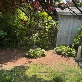 Bush Trimming by Five Star Mowing reviewed on June 9, 2022