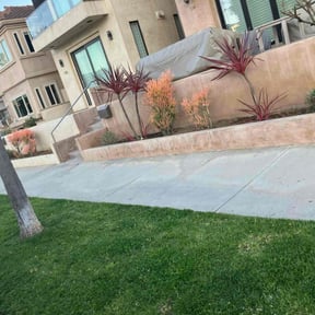 Bush Trimming by Leneirs Landscaping reviewed on July 2, 2020