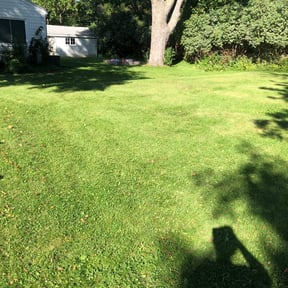 Cleanups by Nicks tree removal reviewed on October 28, 2024