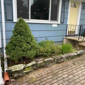 Bush Trimming by Get Her Done Lawn Service reviewed on July 17, 2022