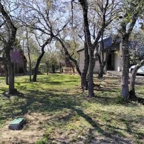 Leaf Removal by LSLTAustin/SanAntonioEmerald reviewed on June 24, 2025